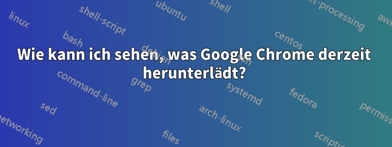 Wie kann ich sehen, was Google Chrome derzeit herunterlädt?