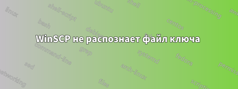 WinSCP не распознает файл ключа