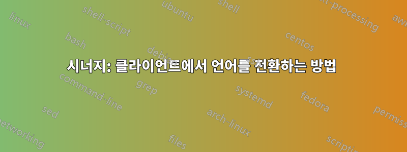 시너지: 클라이언트에서 언어를 전환하는 방법