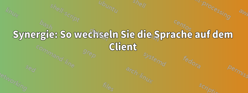 Synergie: So wechseln Sie die Sprache auf dem Client