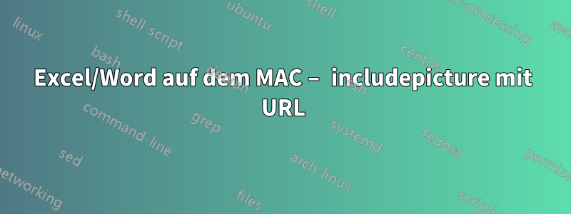 Excel/Word auf dem MAC – includepicture mit URL