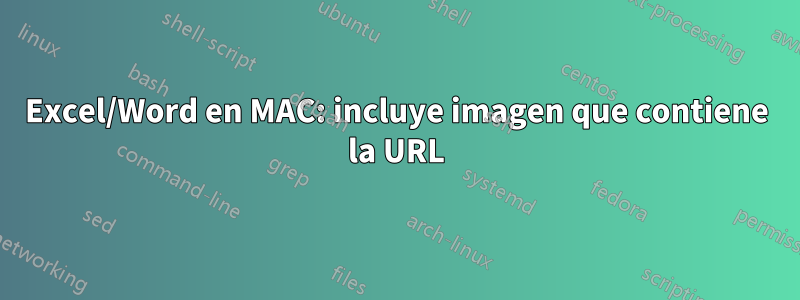 Excel/Word en MAC: incluye imagen que contiene la URL
