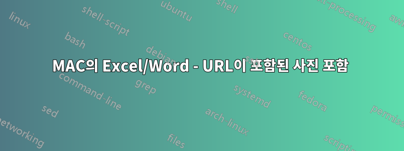MAC의 Excel/Word - URL이 포함된 사진 포함