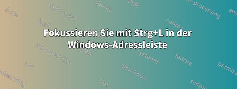 Fokussieren Sie mit Strg+L in der Windows-Adressleiste