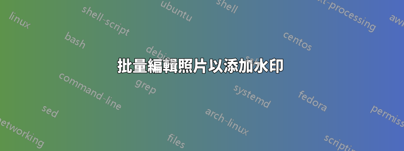 批量編輯照片以添加水印