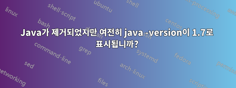 Java가 제거되었지만 여전히 java -version이 1.7로 표시됩니까?