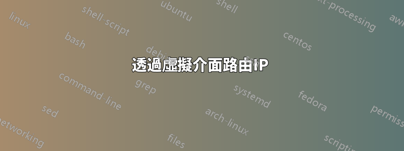 透過虛擬介面路由IP