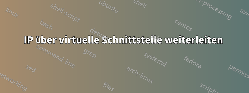 IP über virtuelle Schnittstelle weiterleiten