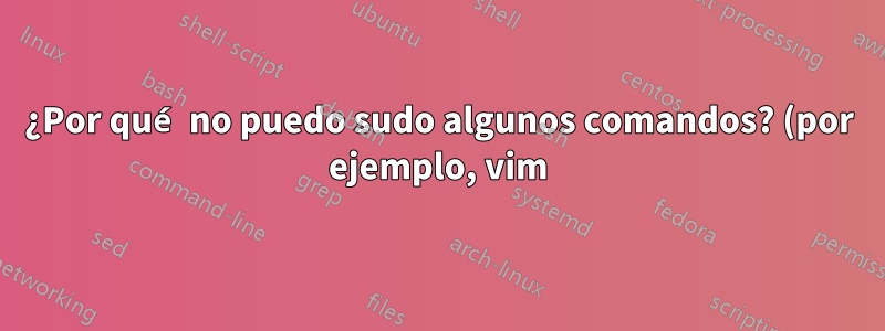 ¿Por qué no puedo sudo algunos comandos? (por ejemplo, vim)