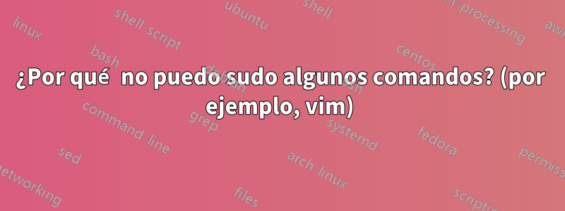 ¿Por qué no puedo sudo algunos comandos? (por ejemplo, vim)