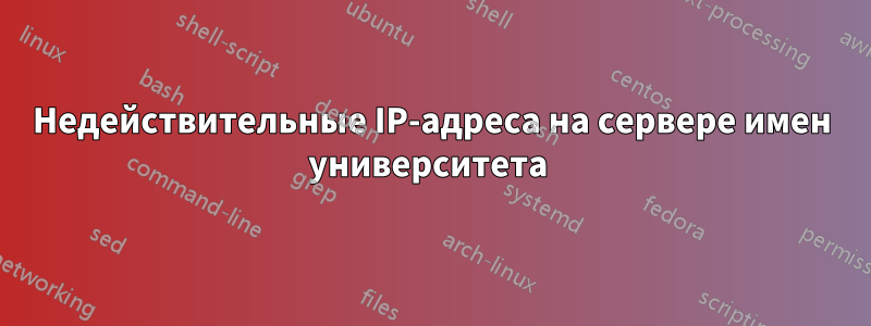Недействительные IP-адреса на сервере имен университета 