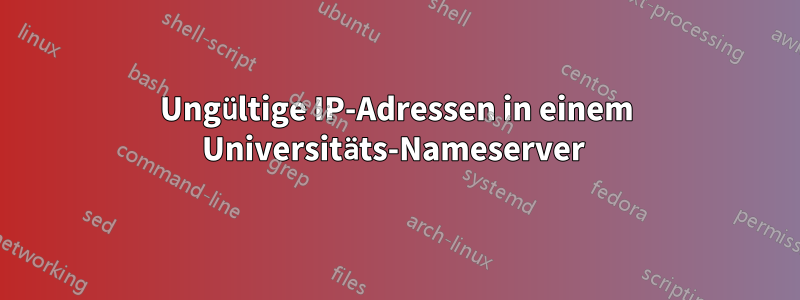 Ungültige IP-Adressen in einem Universitäts-Nameserver 