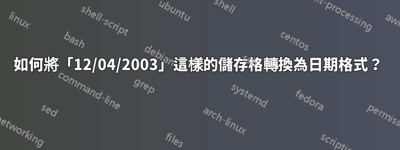如何將「12/04/2003」這樣的儲存格轉換為日期格式？