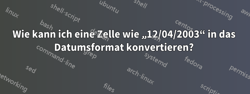 Wie kann ich eine Zelle wie „12/04/2003“ in das Datumsformat konvertieren?