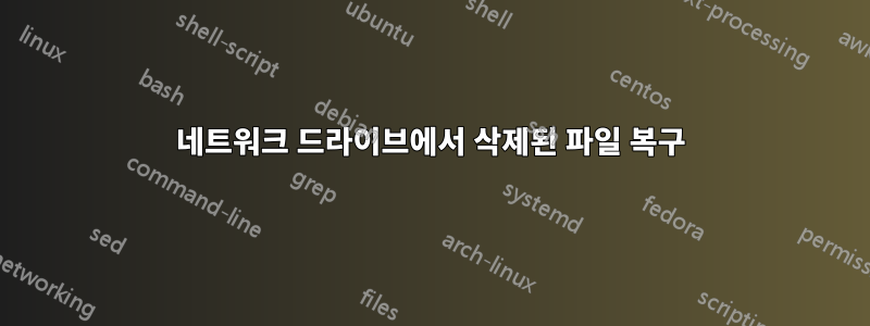 네트워크 드라이브에서 삭제된 파일 복구