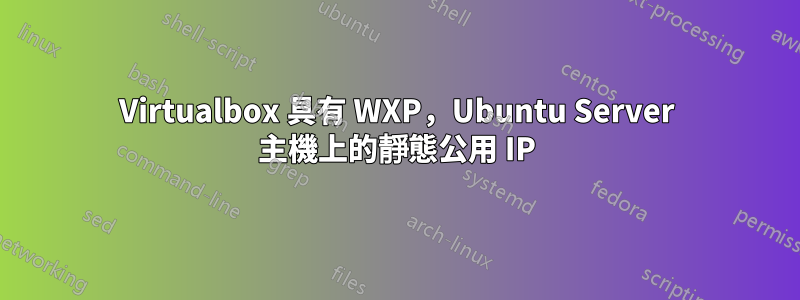 Virtualbox 具有 WXP，Ubuntu Server 主機上的靜態公用 IP