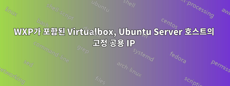 WXP가 포함된 Virtualbox, Ubuntu Server 호스트의 고정 공용 IP