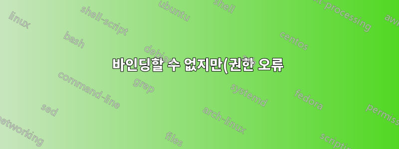 바인딩할 수 없지만(권한 오류) netstat에 표시되지 않는 TCP/UDP 포트