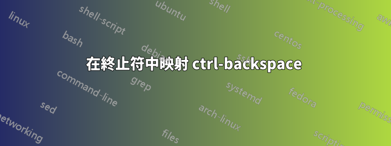 在終止符中映射 ctrl-backspace