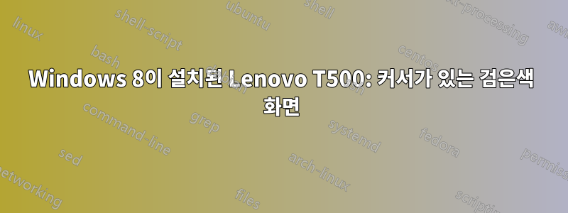 Windows 8이 설치된 Lenovo T500: 커서가 있는 검은색 화면