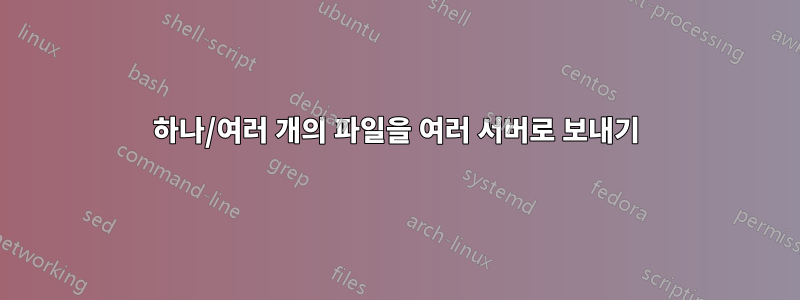 하나/여러 개의 파일을 여러 서버로 보내기