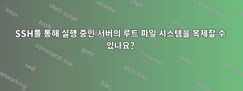 SSH를 통해 실행 중인 서버의 루트 파일 시스템을 복제할 수 있나요?