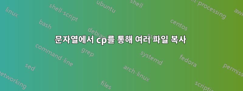 문자열에서 cp를 통해 여러 파일 복사