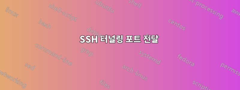 SSH 터널링 포트 전달