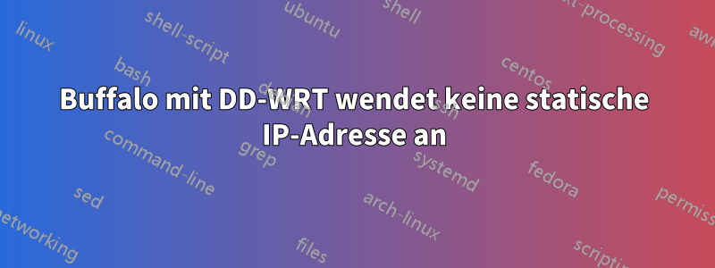 Buffalo mit DD-WRT wendet keine statische IP-Adresse an