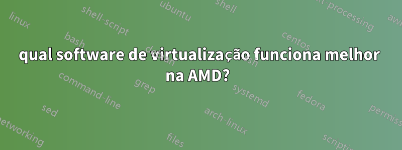 qual software de virtualização funciona melhor na AMD? 