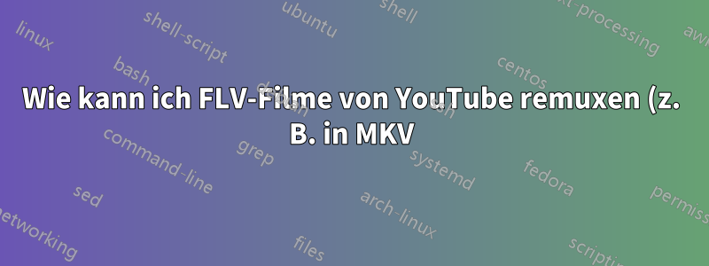 Wie kann ich FLV-Filme von YouTube remuxen (z. B. in MKV)?