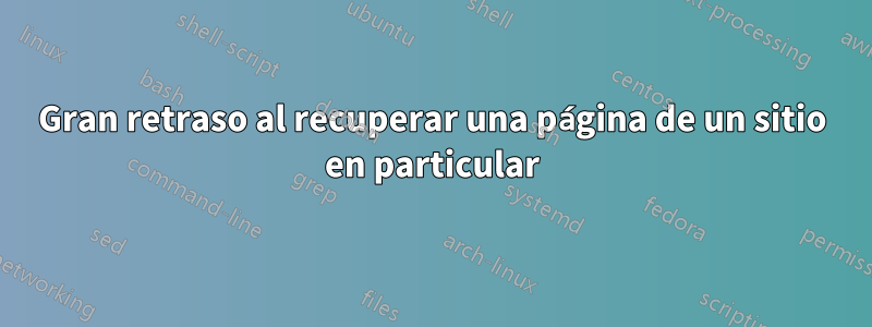 Gran retraso al recuperar una página de un sitio en particular