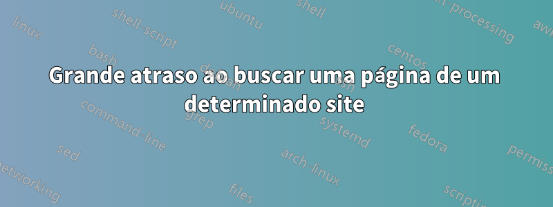 Grande atraso ao buscar uma página de um determinado site