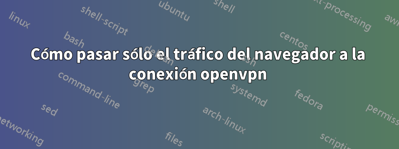 Cómo pasar sólo el tráfico del navegador a la conexión openvpn