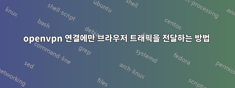 openvpn 연결에만 브라우저 트래픽을 전달하는 방법