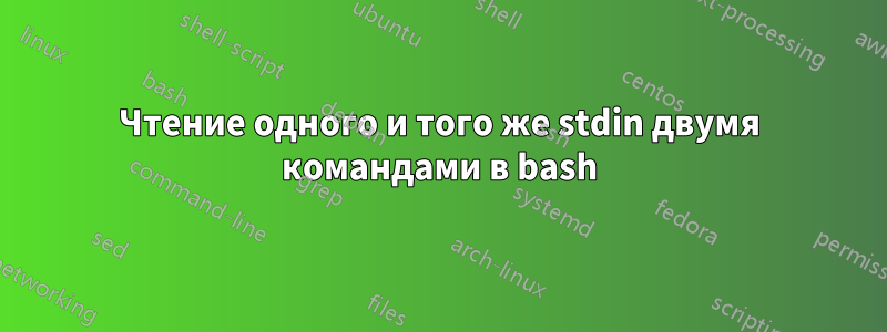 Чтение одного и того же stdin двумя командами в bash