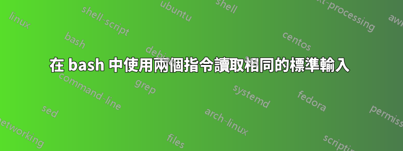 在 bash 中使用兩個指令讀取相同的標準輸入