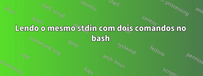 Lendo o mesmo stdin com dois comandos no bash