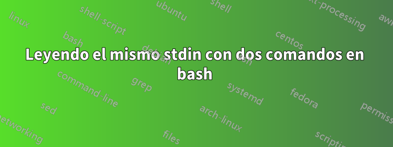 Leyendo el mismo stdin con dos comandos en bash