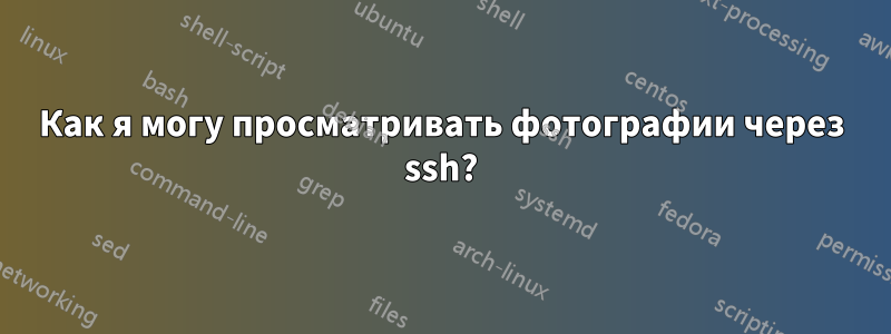 Как я могу просматривать фотографии через ssh?