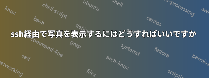 ssh経由で写真を表示するにはどうすればいいですか