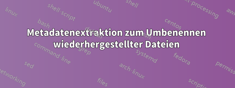 Metadatenextraktion zum Umbenennen wiederhergestellter Dateien