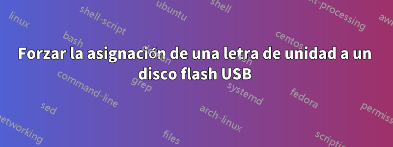 Forzar la asignación de una letra de unidad a un disco flash USB