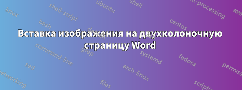 Вставка изображения на двухколоночную страницу Word