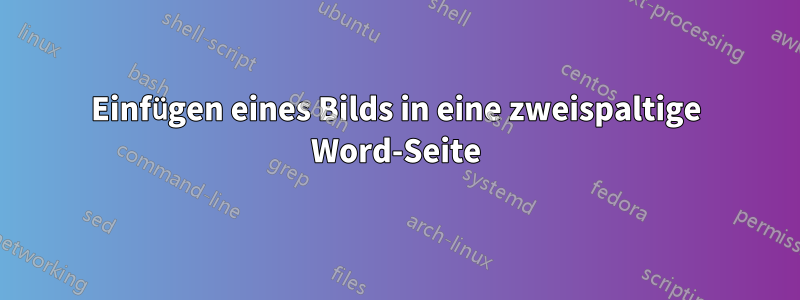 Einfügen eines Bilds in eine zweispaltige Word-Seite