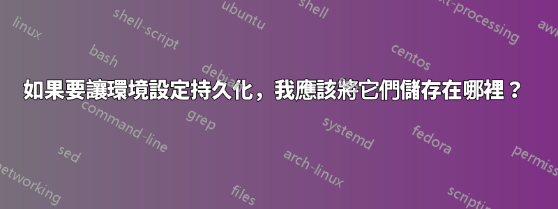 如果要讓環境設定持久化，我應該將它們儲存在哪裡？ 