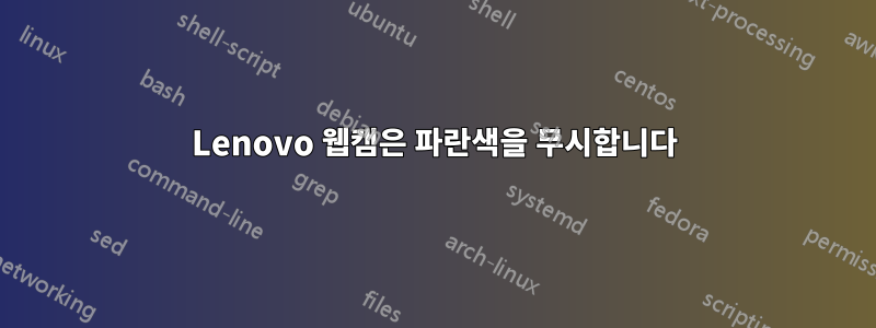 Lenovo 웹캠은 파란색을 무시합니다