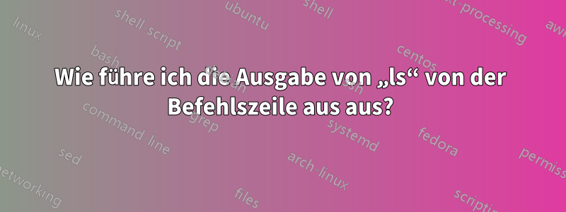 Wie führe ich die Ausgabe von „ls“ von der Befehlszeile aus aus?