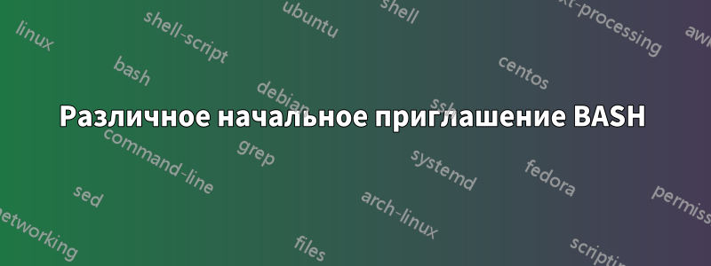 Различное начальное приглашение BASH