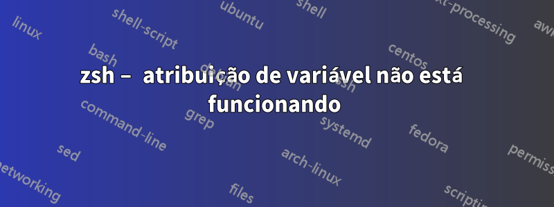 zsh – atribuição de variável não está funcionando